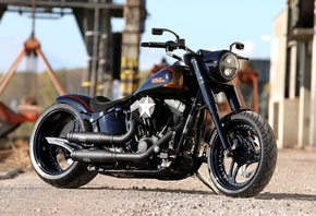 harley davidson, custom, thunderbike