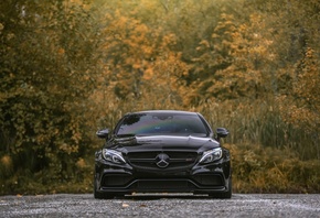  , , C63