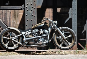 harley davidson, custom, thunderbike