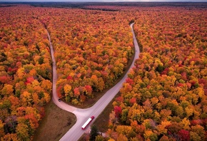 ������� ����, ������