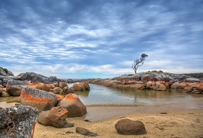 , Tasmania, nature