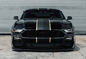 Ford, Mustang, , , 