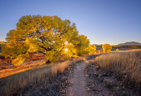 �����, Prescott, Arizona, �������, ������, �����, �������