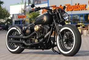 harley davidson, custom, thunderbike