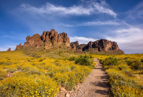 ����, Superstition, Mountains, Arizona, �����, �������