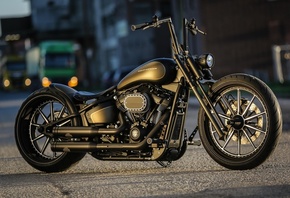 harley davidson, custom, thunderbike