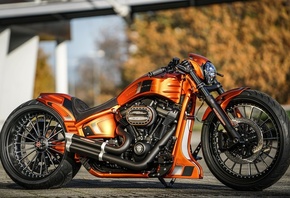 harley davidson, custom, thunderbike