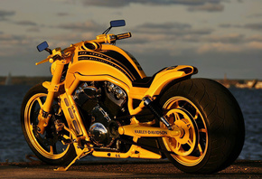 harley davidson, beach, mirror, road