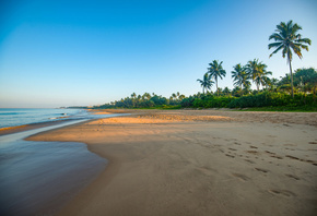 Шри-Ланка, Побережье, Море, Bentota, Beach, Пальмы, Пляж, Природа
