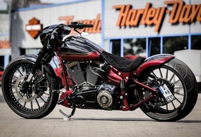 harley davidson, custom, thunderbike, softail