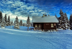 ������� ����, ������