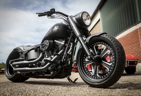 harley davidson, , 