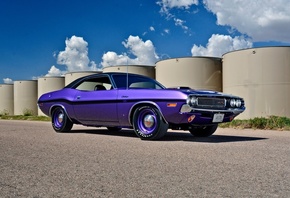 american, classic, car, dodge, challenger