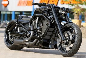 harley davidson, custom, thunderbike