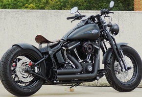 harley davidson, custom, thunderbike