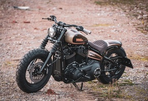 harley davidson, custom, thunderbike, beach tracker