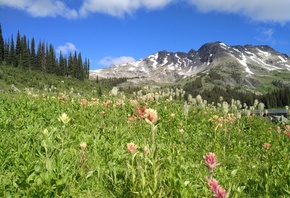 ���, �����, ����, ����