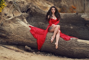 Car Andrzej, ���� ����