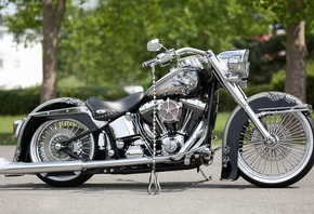 harley davidson, custom, thunderbike