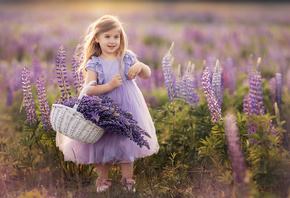 ребёнок, девочка, платье, природа, лето, поле, цветы, люпины, корзина