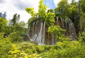 ����, �������, �������, ���������� �����, ��������