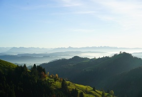 ���������, ����, ���, Basel-Landschaf, �����, �����, �������