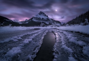 �����, ����, �����, ��