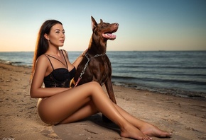 women, Sergey Gokk, sitting, beach, sand, sea, dog, black lingerie, ass, sa ...