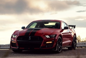 Ford, Mustang, Shelby, GT500