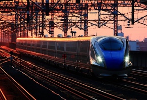 �����, ������, ������