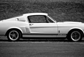 ford, mustang, gt 500