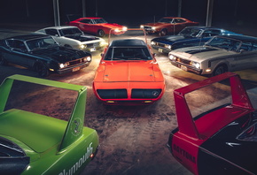 �����, ����