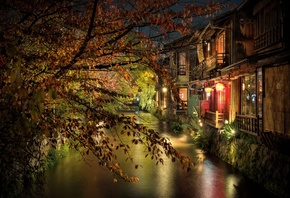 ночь, ветки, город, дома, Япония, освещение, канал, Киото