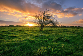 ��������, ����� ���, Donegal, �����, �������, ������, �������