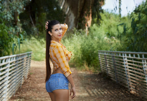 women, ponytail, jean shorts, long hair, plaid shirt, brunette, women outdoors, trees