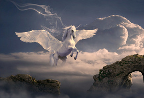 �����, ����, ��������