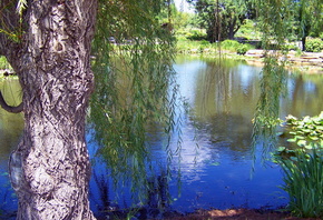 �������, ����, ����