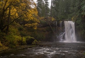, , , Oregon, Silver Falls State Park, Upper North Falls, S ...