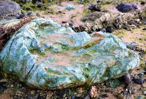 �����, ������, �����