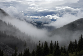 небо, тучи, горы, лес, туман