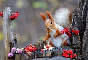 , , , , , , , , ,  ...