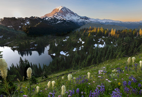 �������, ������, ����, ���, �����, �����, �������