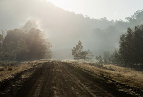 ����, ����, �����, ������