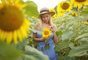 women, hat, dress, Andrey Popov, sunflowers, women outdoors, blonde