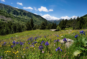 ����, ���, �������, Sorteny, �����, �������, �������