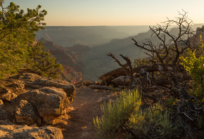 �����-������, �����, Arizona, �����, �������