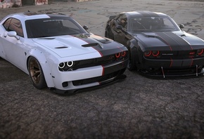 ����, ����