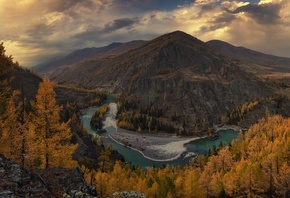 осень, лес, река, горы, Алтай