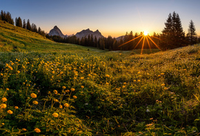 обои широкоформатные, Швейцария, Горы, Луг, Вечер, закат, trollius, Schwyz, Альпы, Природа широкоформатные, Швейцария, Горы, Луг, Вечер, закат, trollius, Schwyz, Альпы, Природа