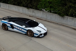 Lamborghini, Aventador, white, supercar, sports coupe, tuning, Chicago, Rally, Cars